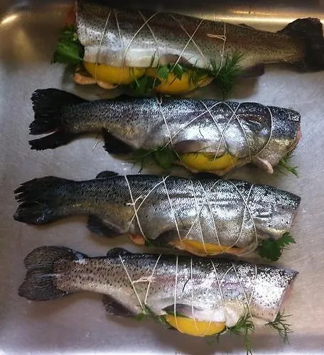 فندق Graensekro